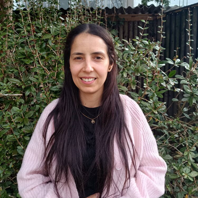 litt1bf5.png litt1bf5.png