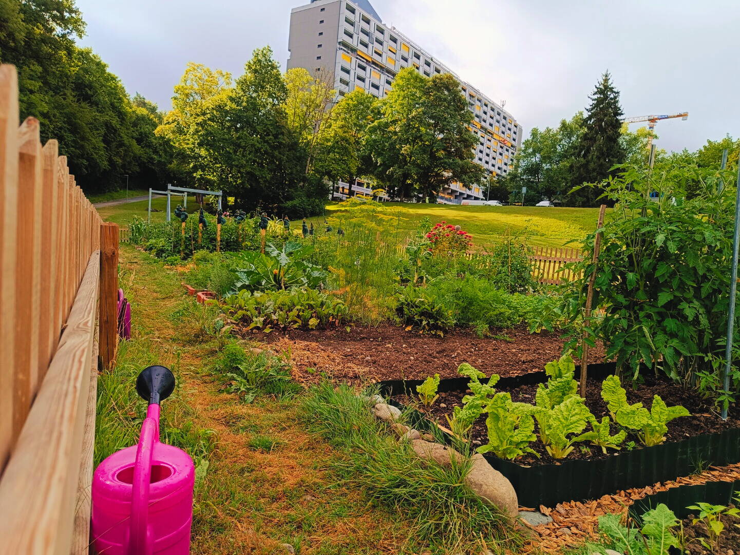 garten_1.jpg garten_1.jpg